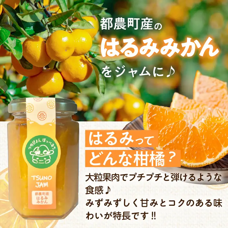 TSUNO JAMはるみみかん(計1個) ジャム 果物 柑橘 加工品 国産_T043-0087